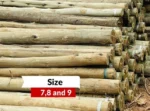 Treated Timber Fencing Pole 7ft
