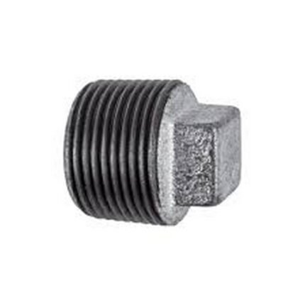 Standard GI 1/2 Inch Galvanized Cap Plug