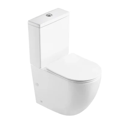 Standard P-Trap Toilet, Vitreous China, Dual Flush White