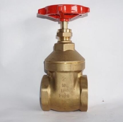 Pegler 1 Inch Brass Gate Valve, PN20, BSP Female