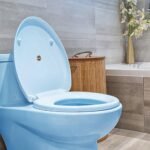 Standard PVC Toilet Seat, Heavy Duty, Blue/White