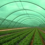 Generic 90% Shade Net 3mx50m Dark Green UV Stabilized HDPE