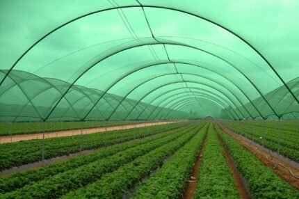 Generic 90% Shade Net 3m x 50m Dark Green UV Stabilized HDPE