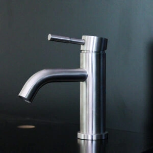 BM 2011 SS304 Curved Nose Basin Mixer