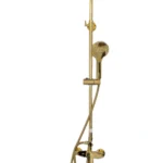 Brimix Gold Shower Mixer