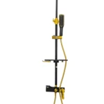 Brimix Gold Black Shower Mixer