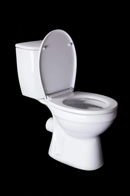 Standard P-Trap Toilet, Vitreous China, Dual Flush White