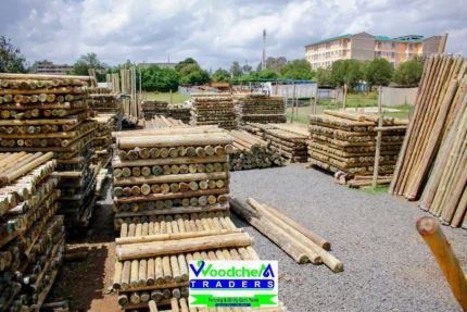 Treated Timber 8ft Fencing Pole, 3-4 inch Top Diameter, Pressure Treated
