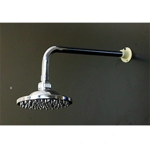 Brimix Shower Head