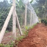Shamba 10ft Heavy Gauge Chain Link Fence, 14G, 50x50mm