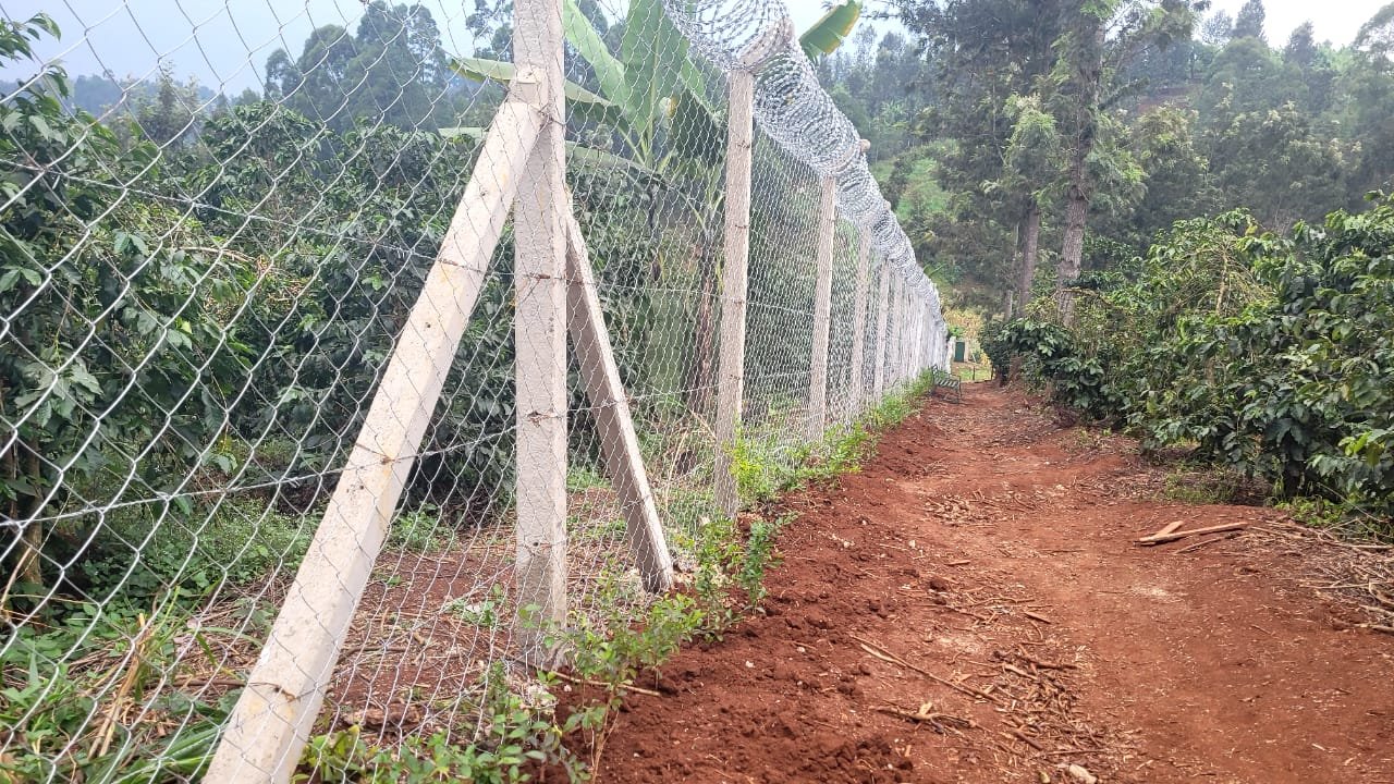Shamba 10ft Heavy Gauge Chain Link Fence, 14G, 50x50mm Shamba 10ft Heavy Gauge Chain Link Fence, 14G, 50x50mm