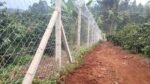 Shamba 8ft Chain Link Fence, 14 Gauge, 50x50mm Mesh