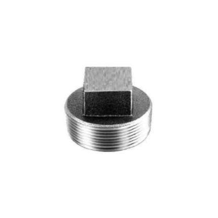 Generic GI 1 Inch Cap Plug, Galvanized Iron, Male Threaded