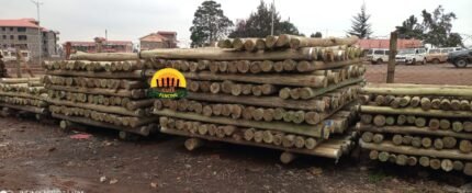 Treated Timber 4-5 inch Diameter Fencing Pole, 8ft Length