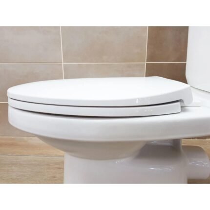 Standard S-Trap Toilet, 250mm Rough-in, Dual Flush