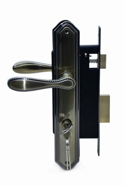NBNP 301 Cylinder Door Lock, Silver and Gold Dual-Tone Finish