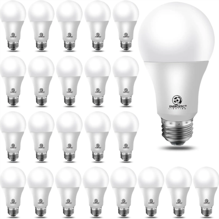 Powermax 60W Light Bulb