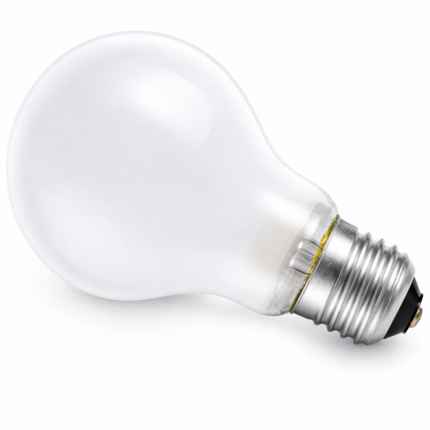 Powermax 60W Light Bulb